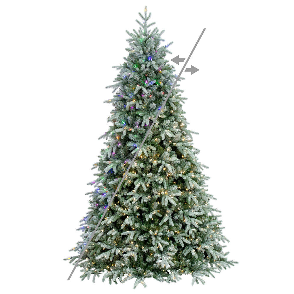 The Holiday Aisle® Vickerman Frosted Albany Spruce Artificial Pre